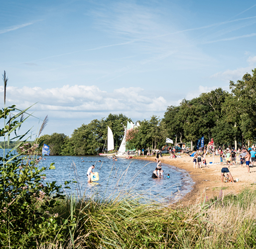 Lac de Léon dans les Landes