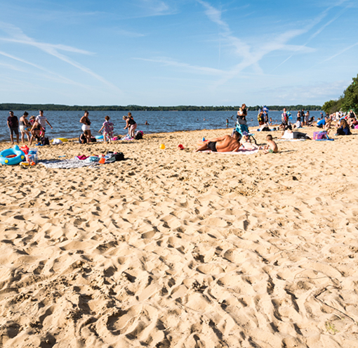 Lac de Léon dans les Landes