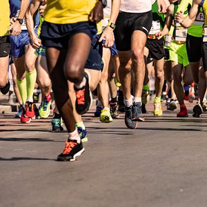 avis les cottages de léon